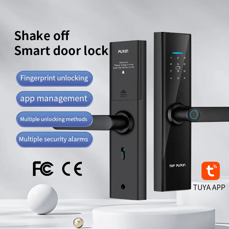 Interior Door Lock